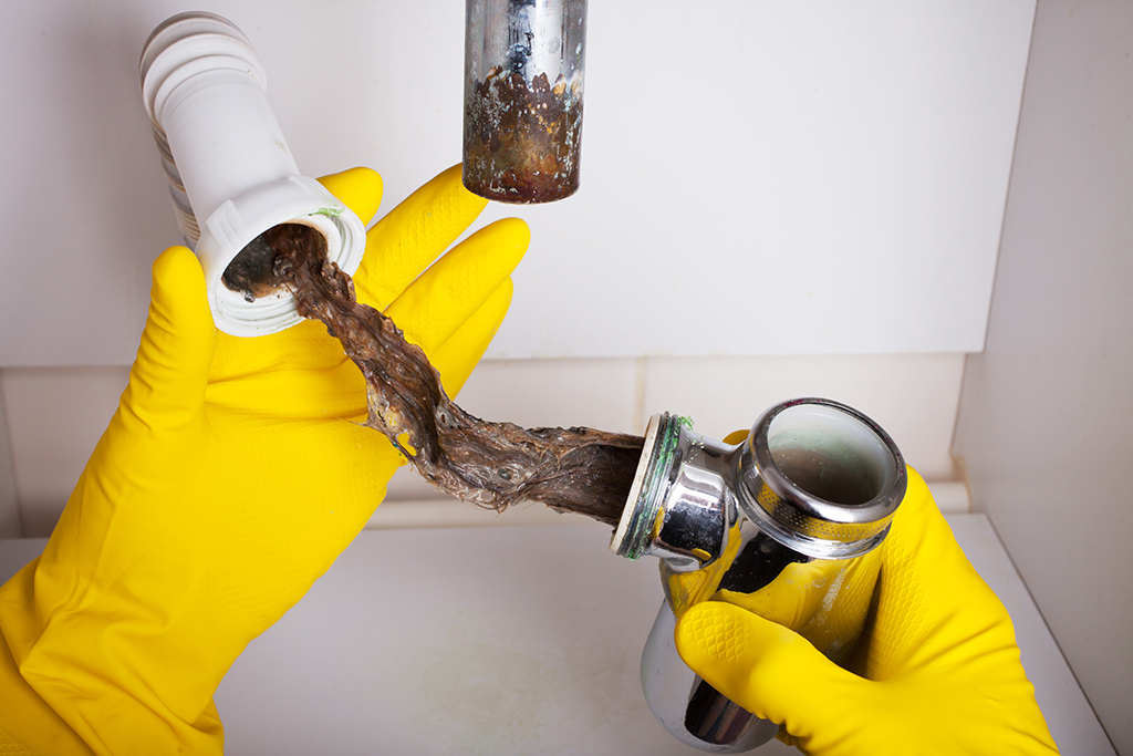 Drain Cleaning Service Clogged Drains Can Be A Serious Issue Myrtle Beach Sc